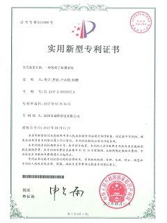 一種等離子處理系統(tǒng)專利證書(shū)